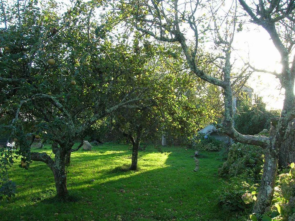 Pension - Albergue De Logrosa نيغريرا المظهر الخارجي الصورة
